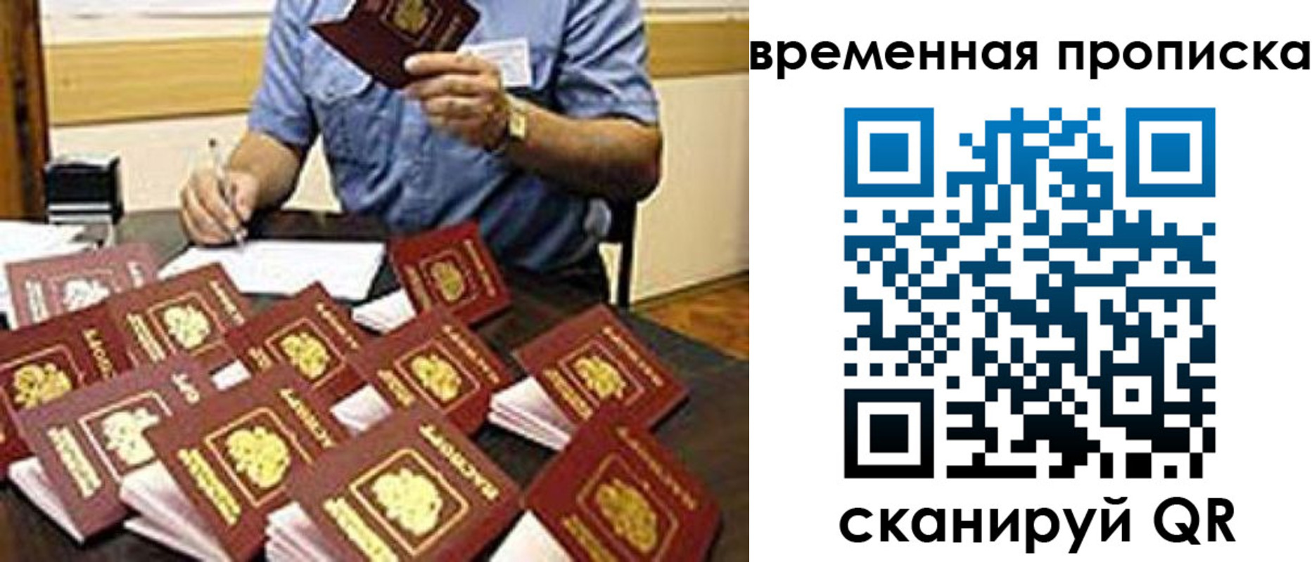 прописка для школы в Долгопрудном